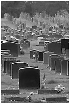 Memorial Park, Colma. California, USA (black and white)