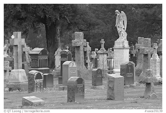 Variety of headstones, Colma. California, USA (black and white)