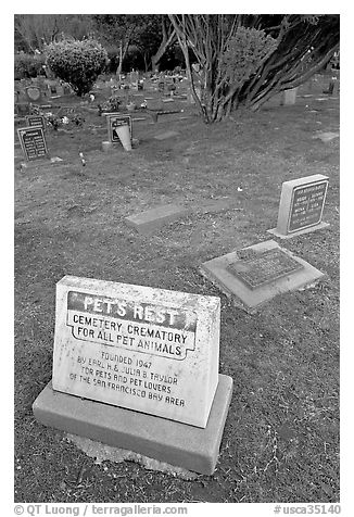 Pet cemetery, Colma. California, USA (black and white)