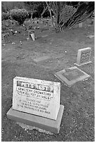 Pet cemetery, Colma. California, USA ( black and white)