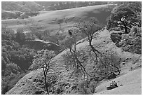 Couple sitting on hillside in early spring, Sunol Regional Park. California, USA (black and white)