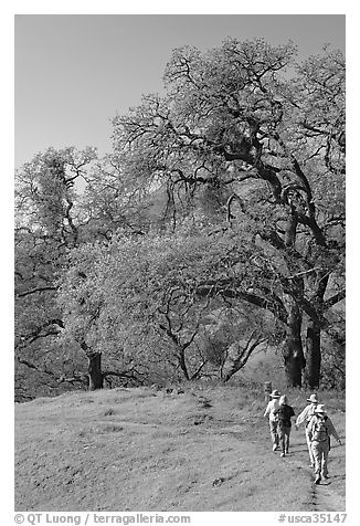 Group of hikers on faint trail, Sunol Regional Park. California, USA (black and white)