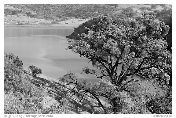 Calaveras Reservoir in spring. California, USA (black and white)