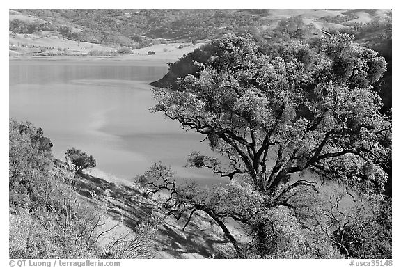 Calaveras Reservoir in spring. California, USA