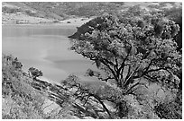 Calaveras Reservoir in spring. California, USA (black and white)