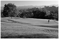Stanford Golf Course. Stanford University, California, USA (black and white)
