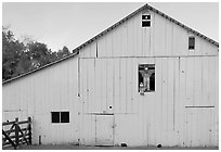 Barn with figures in window and cats, Happy Hollow Farm, Rancho San Antonio Park, Los Altos. California, USA (black and white)