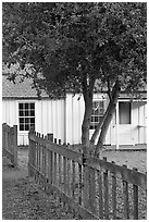 Happy Hollow Farm, Rancho San Antonio Open Space Preserve, Los Altos. California, USA ( black and white)