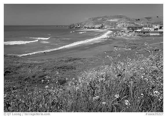 Rockaway Beach and wildflowers, Pacifica. San Mateo County, California, USA (black and white)