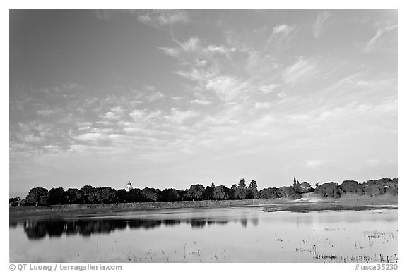 Lake Lagunata and Hoover tower behind row of trees, late afternoon. Stanford University, California, USA (black and white)