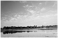 Lake Lagunata and Hoover tower behind row of trees, late afternoon. Stanford University, California, USA ( black and white)