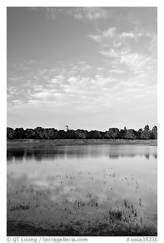 Lake Lagunata and Hoover tower in the spring. Stanford University, California, USA (black and white)