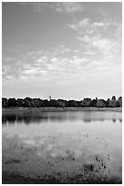 Lake Lagunata and Hoover tower in the spring. Stanford University, California, USA ( black and white)