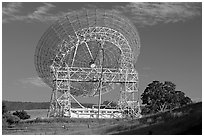 Astronomical Antenna known as The Dish. Stanford University, California, USA ( black and white)