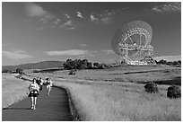 People running in the Stanford Dish area. Stanford University, California, USA (black and white)