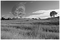 150 ft parabolic antenna known as the Dish, and tree. Stanford University, California, USA (black and white)