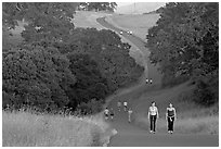 Women walking on trail, Stanford academic preserve. Stanford University, California, USA (black and white)