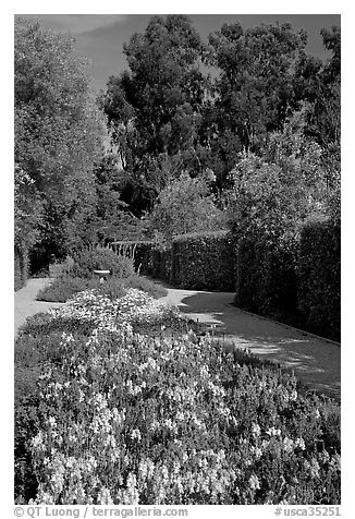 Alley with flowers, Allied Arts Guild. Menlo Park,  California, USA (black and white)