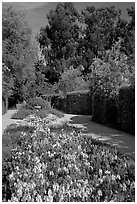 Alley with flowers, Allied Arts Guild. Menlo Park,  California, USA (black and white)