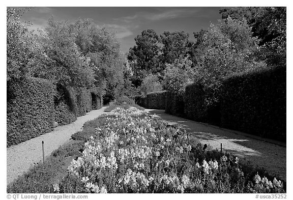 Flowers in alley, Allied Arts Guild. Menlo Park,  California, USA (black and white)