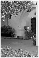 Orange tree and arch, Allied Arts Guild. Menlo Park,  California, USA (black and white)