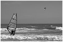 Windsurfer and kitesurfer, Waddell Creek Beach. California, USA ( black and white)