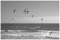 Group of kitesurfers, Waddell Creek Beach. California, USA ( black and white)