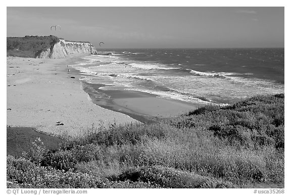 Beach with waves and kites, Scott Creek Beach. California, USA