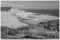 Beach with waves and kites, Scott Creek Beach. California, USA (black and white)