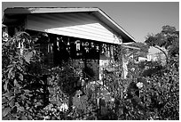 House and frontyeard, Watts. Watts, Los Angeles, California, USA (black and white)