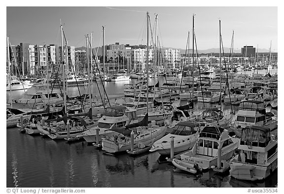 Marina at sunrise. Marina Del Rey, Los Angeles, California, USA (black and white)