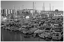 Marina at sunrise. Marina Del Rey, Los Angeles, California, USA (black and white)