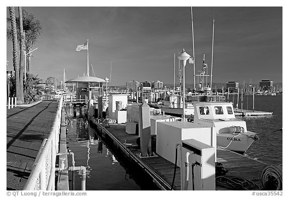 Harbor. Marina Del Rey, Los Angeles, California, USA (black and white)