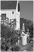 Brighly painted houses, Fishermans village. Marina Del Rey, Los Angeles, California, USA (black and white)