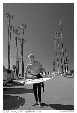 Surfer and palm trees. Venice, Los Angeles, California, USA (black and white)