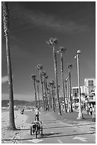 Woman riding a tricycle on the beach promenade. Venice, Los Angeles, California, USA (black and white)