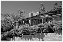 Facade and trees, Frank Lloyd Wright Honeycomb House. Stanford University, California, USA ( black and white)