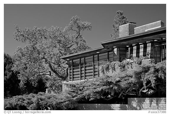 Living room side, Hanna House, a Frank Lloyd Wright masterpiece. Stanford University, California, USA