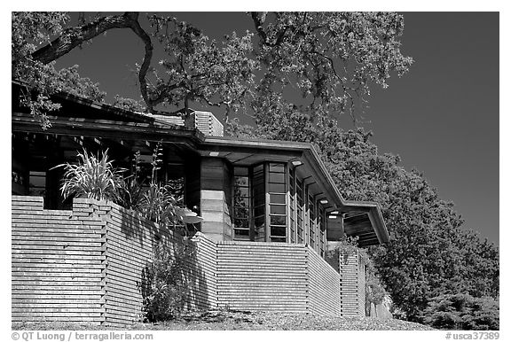 Honeycombed-shape corners, Hanna House. Stanford University, California, USA