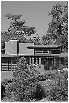 Facade from a distance, Hanna House. Stanford University, California, USA ( black and white)