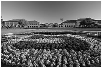 Stanford University S logo in flowers and main Quad. Stanford University, California, USA (black and white)