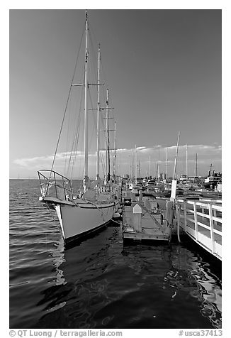 Yacht in Port of Redwood, late afternoon. Redwood City,  California, USA (black and white)
