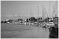 Yachts near Bair Islands, sunset. Redwood City,  California, USA (black and white)