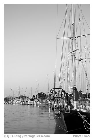 Yachts, sunset. Redwood City,  California, USA (black and white)