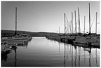 Marina, sunset. Redwood City,  California, USA ( black and white)