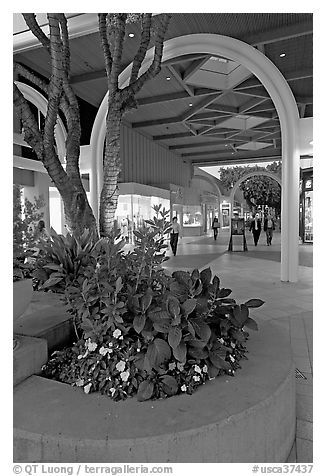 Flowers and arches, Stanford Shopping Mall, dusk. Stanford University, California, USA