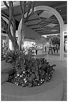 Flowers and arches, Stanford Shopping Mall, dusk. Stanford University, California, USA (black and white)