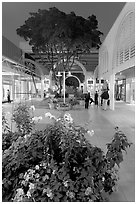 Vegetation and stores in main alley of Stanford Mall at night. Stanford University, California, USA (black and white)