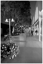 Couple walking by stores and flowers, Stanford Shopping Center. Stanford University, California, USA (black and white)