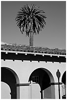 Palm tree and arches, historical train depot. Burlingame,  California, USA (black and white)
